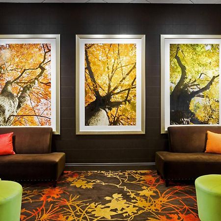 Sheraton Springfield Monarch Place Hotel Bagian luar foto